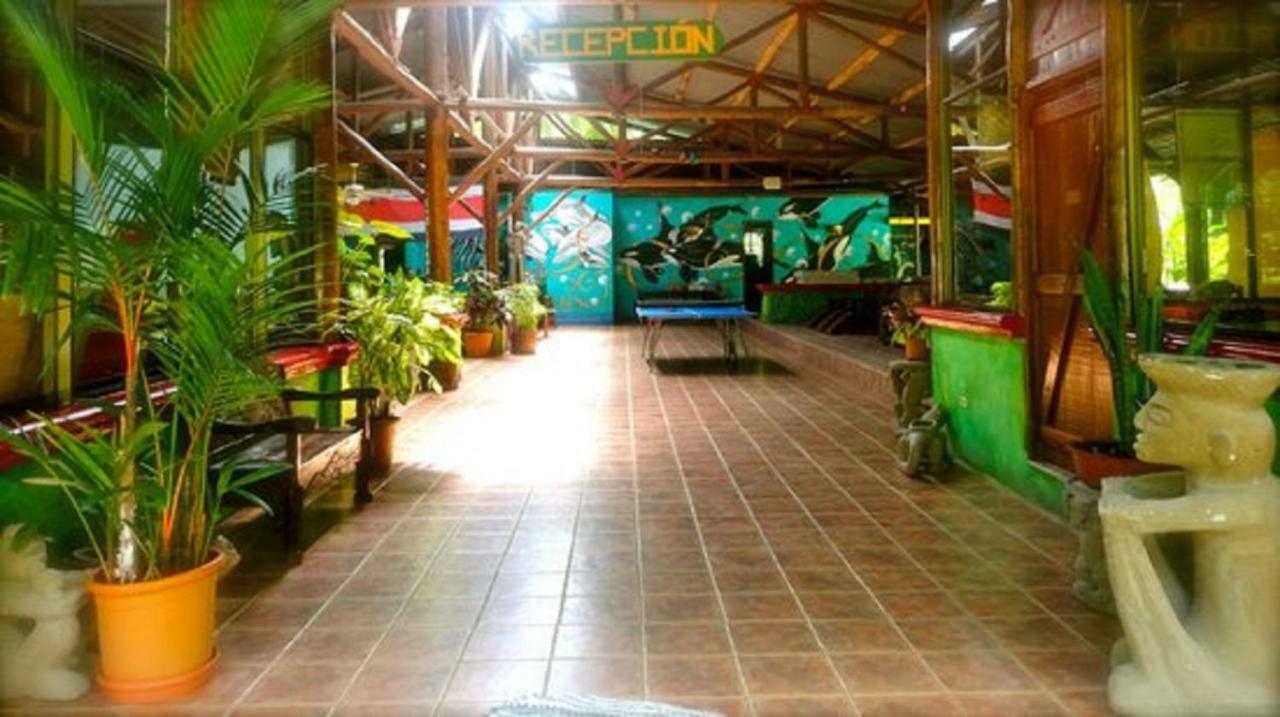 Hotel Roca Verde Beachfront Puntarenas Zewnętrze zdjęcie